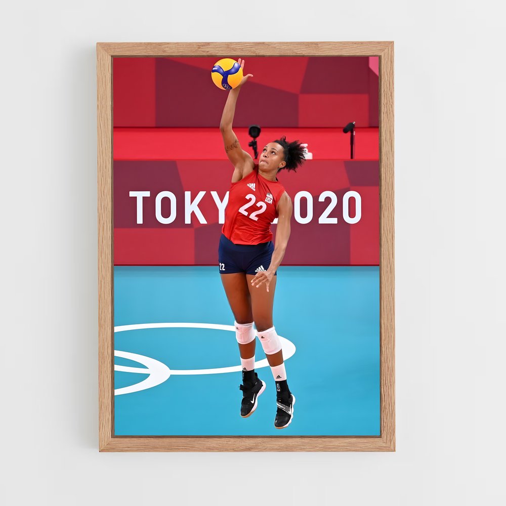 Poster Volleyball de world (vue 4)